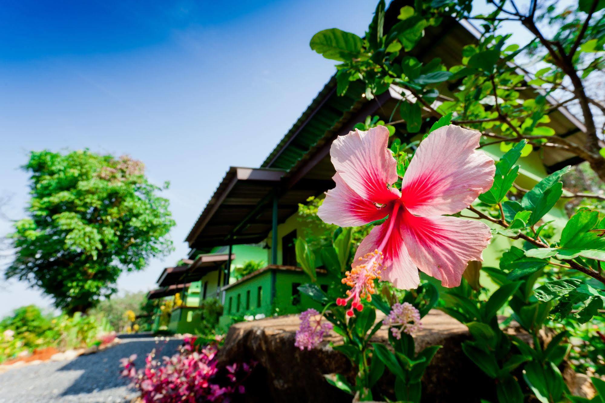The Mouth Resort - Sha Extra Plus Khao Lak Zewnętrze zdjęcie